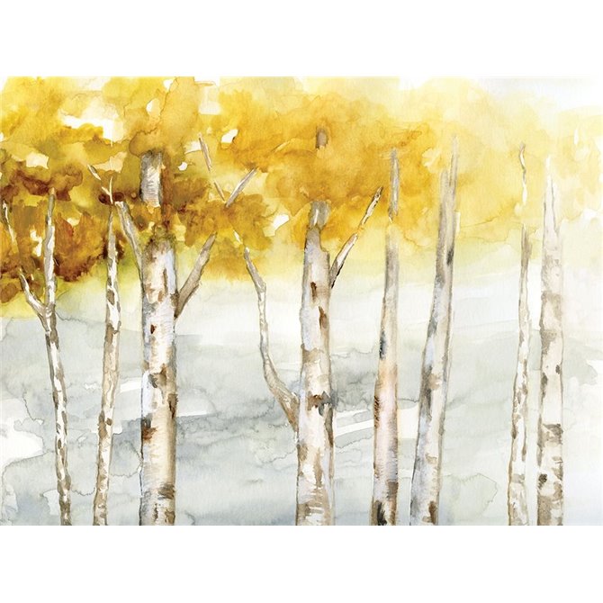 Golden Trees - Cuadrostock