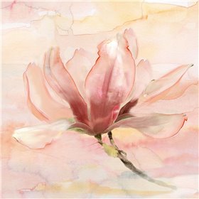 Dreamy Magnolia II - Cuadrostock