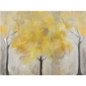Yellow Grove - Cuadrostock