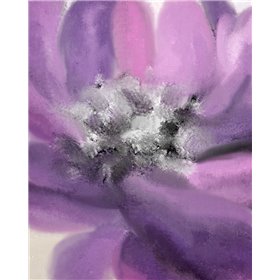 Blooming Purple 1 - Cuadrostock