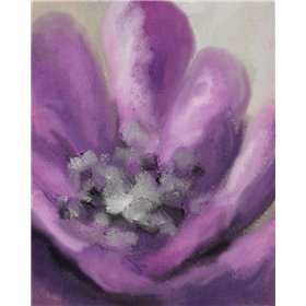 Blooming Purple 2 - Cuadrostock