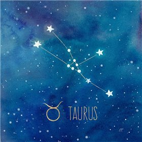 Star Sign Taurus - Cuadrostock