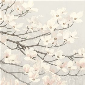 Dogwood Blossoms II Gray - Cuadrostock