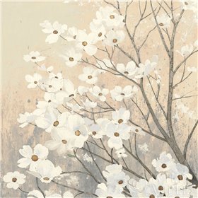 Dogwood Blossoms II Neutral - Cuadrostock