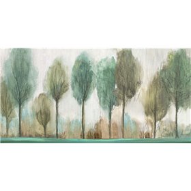 Tall Trees  - Cuadrostock