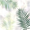 Sage Palms 2 - Cuadrostock