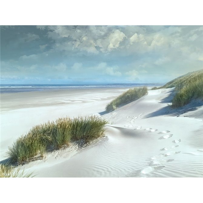 White Sands - Cuadrostock