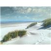 White Sands - Cuadrostock