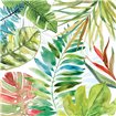 Tropical Sketchbook II - Cuadrostock