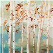 Fall Birch Trees  - Cuadrostock