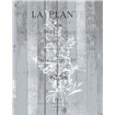 La Plante 1 - Cuadrostock