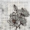 Country Magnolia 1 - Cuadrostock