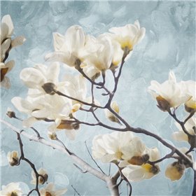 Cuadro para dormitorio - Tree Of White Flowers Mate - Cuadrostock