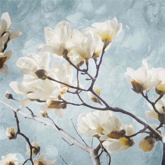 Tree Of White Flowers Mate - Cuadrostock