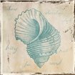 Stamped Shell Four - Cuadrostock