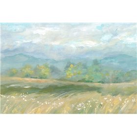 Country Meadow Landscape - Cuadrostock