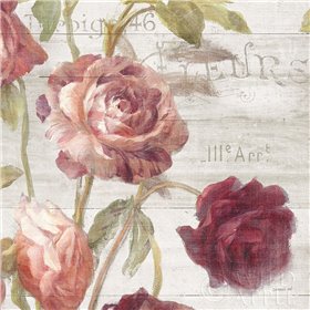 French Roses IV - Cuadrostock