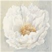 Serene Peony - Cuadrostock