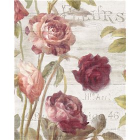 French Roses II - Cuadrostock