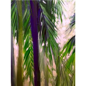 Palm Trees 1 - Cuadrostock