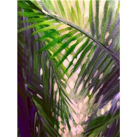 Palm Trees 3 - Cuadrostock