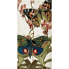 Butterfly World 3 - Cuadrostock