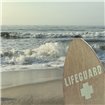 Vigilant Lifeguard - Cuadrostock