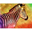 Bright Zebra - Cuadrostock