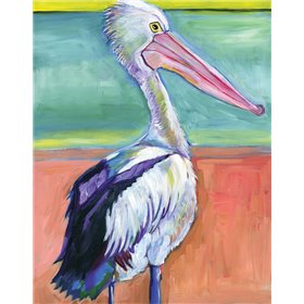 Pelican - Cuadrostock