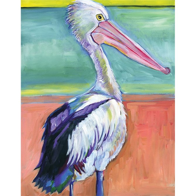 Pelican - Cuadrostock
