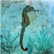 Pacific Seahorse - Cuadrostock