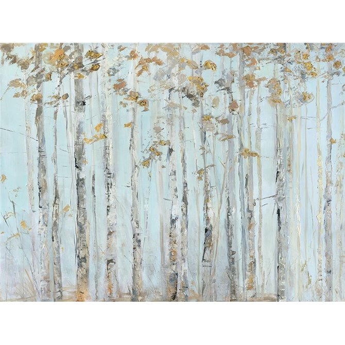 Soft Birch Forest - Cuadrostock