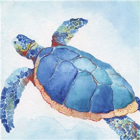 Galapagos Sea Turtle II - Cuadrostock