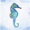 Galapagos Sea Horse - Cuadrostock