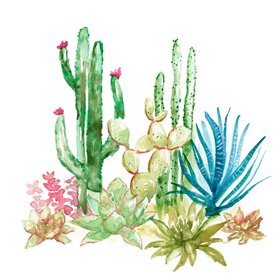 Cactus Vignette I - Cuadrostock
