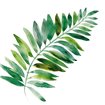 Tropical Frond II - Cuadrostock