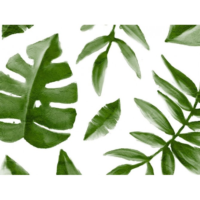 Tropic Green 1 - Cuadrostock
