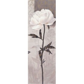 Elegant Bloom 3 - Cuadrostock