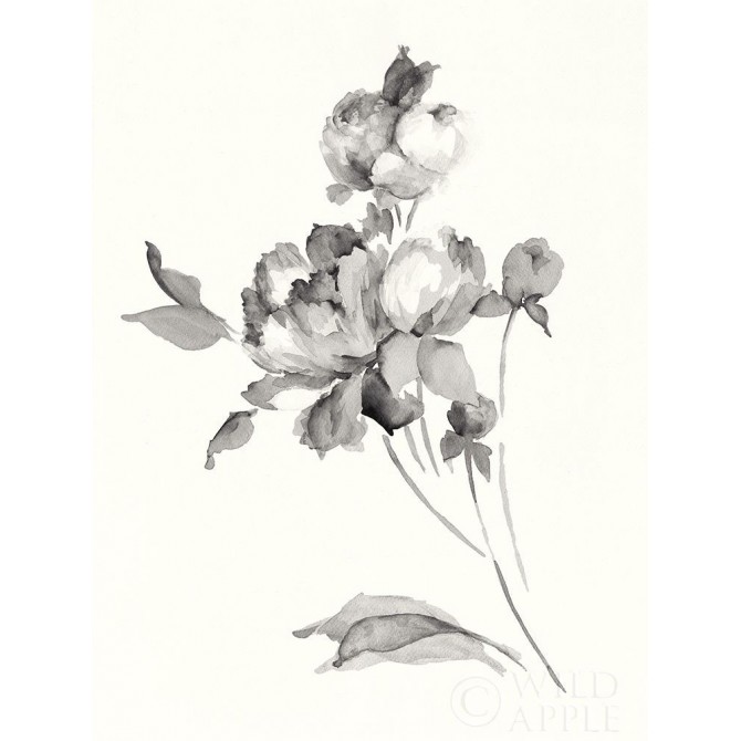 Peony Blossoms Gray Crop - Cuadrostock