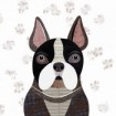 French Bulldog - Cuadrostock