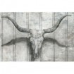 Longhorn - Cuadrostock