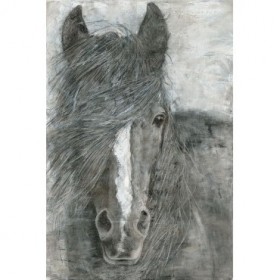 Horse in the Wind - Cuadrostock
