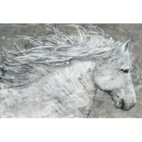 Wild Horse - Cuadrostock