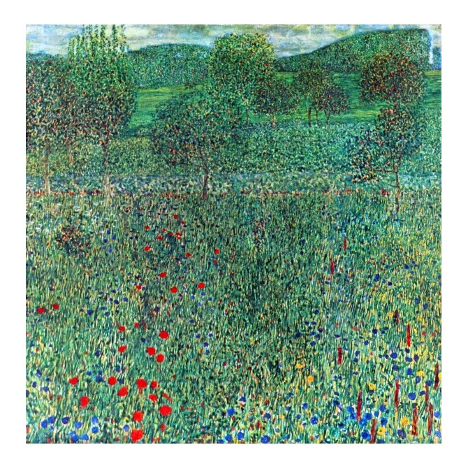 Garden landscape by Klimt - Cuadrostock