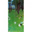 After the rain (garden with chickens in St. Agatha) by Klimt - Cuadrostock