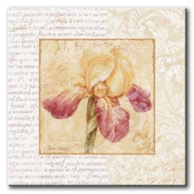 GLA-488_Le Jardin III / Cuadro Flores, Flor sobre fondo Vintage con Letras - Cuadrostock