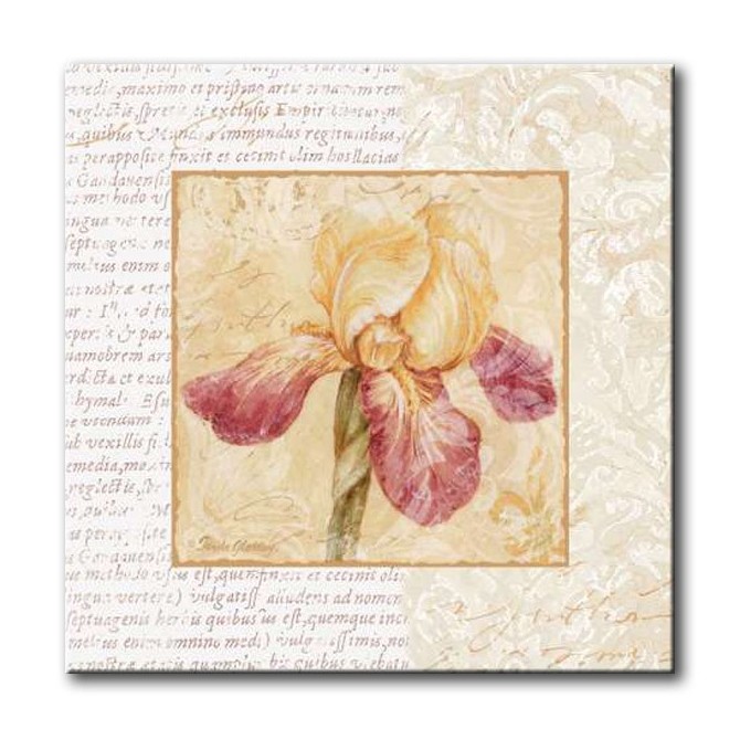GLA-488_Le Jardin III / Cuadro Flores, Flor sobre fondo Vintage con Letras - Cuadrostock