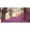 JAP827 / Cuadro Bosque en morado - Cuadrostock