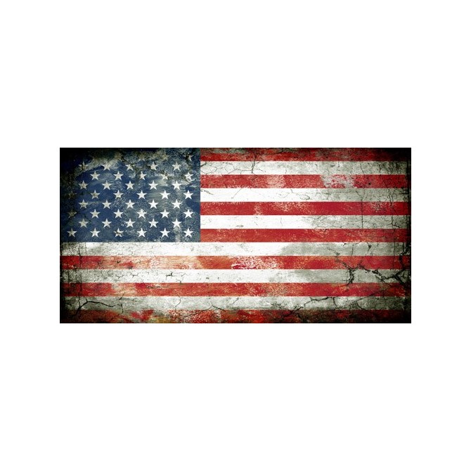 JHR-Cuadro bandera - USA 1 - Cuadrostock