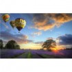 35836805 / Cuadro Globos areostáticos sobrevuelan la puesta de sol del paisaje de lavanda - Cuadrostock